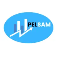 Pelsam Limited