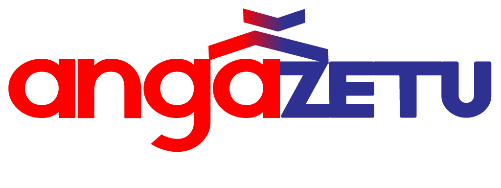 Best Insurance in Tanzania